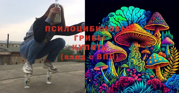 спиды Корсаков
