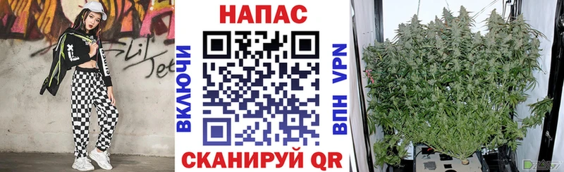 купить   Карпинск  Конопля OG Kush 